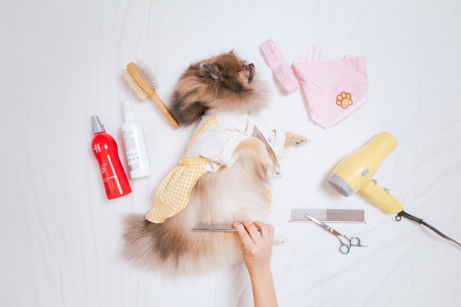 smart pet supplies