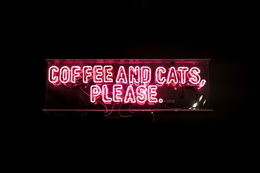 pet-friendly café