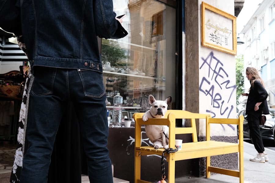 pet-friendly café