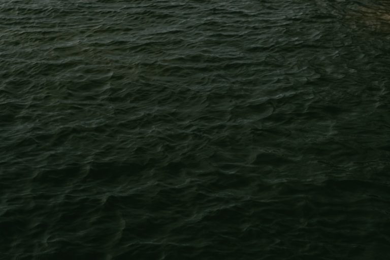 Photo AI-friendly content