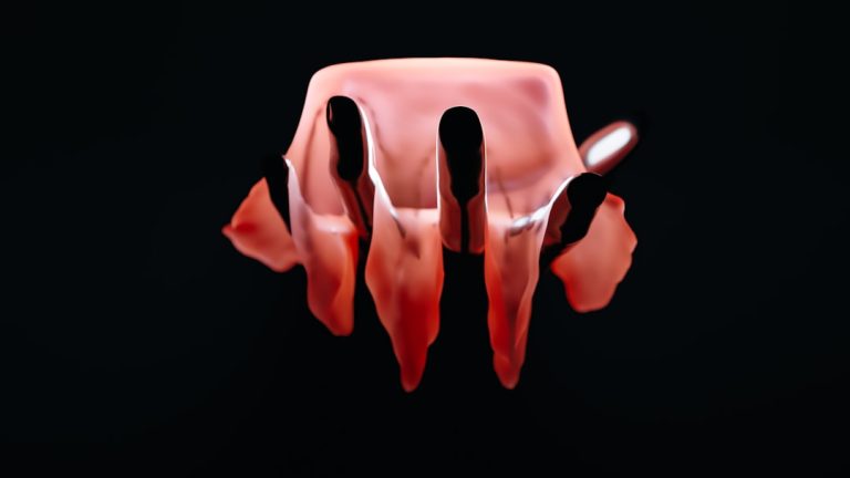 Photo dentures