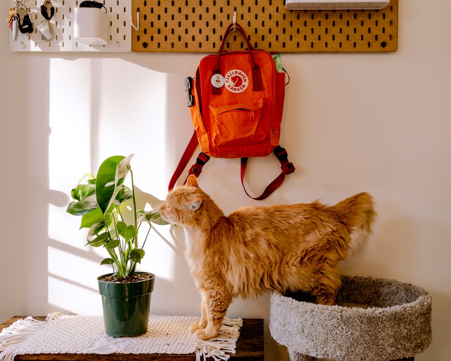 Photo smart pet appliances