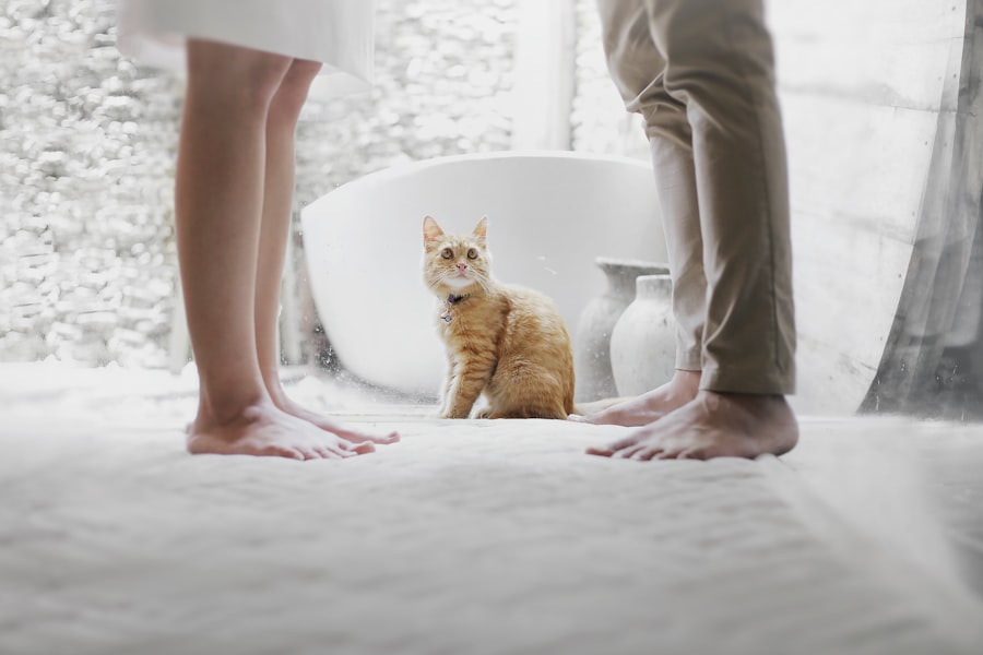 Photo smart pet supplies