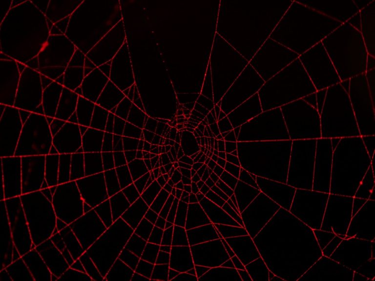 Photo Taipei web design