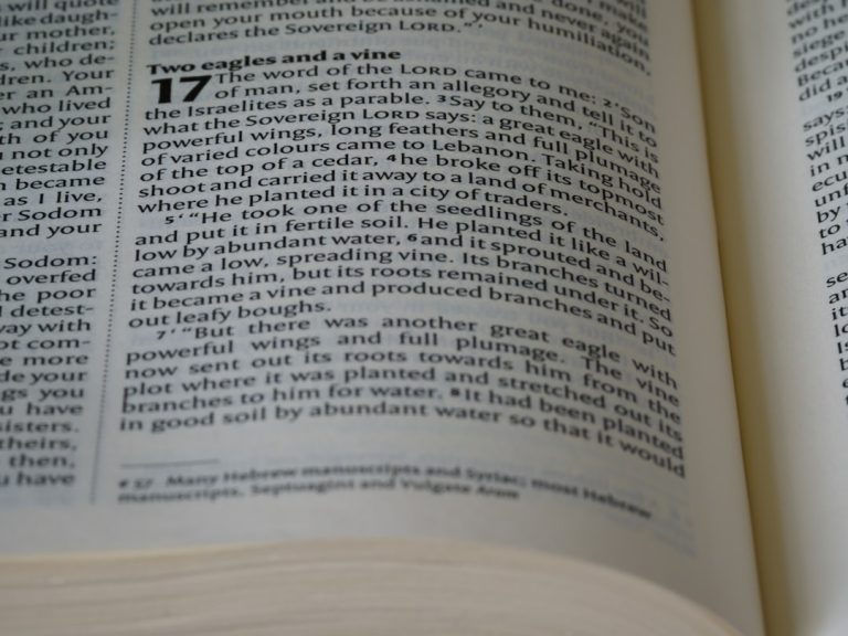 Photo keyword research